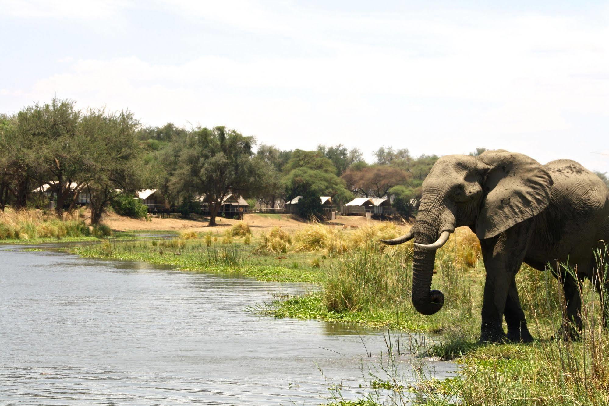 Anabezi Camp Hotel Jeki Bagian luar foto